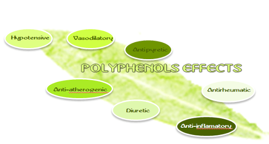 Extraction of oleuropein by hydrodynamic cavitation